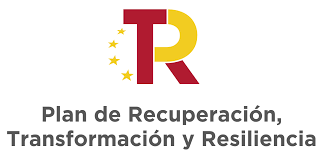 Pulso Solidario